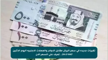 تغيرات جديدة في سعر الريال مقابل الدولار والعملات الأجنبية اليوم الاثنين 24-2-1447.. تعرف على السعر الآن